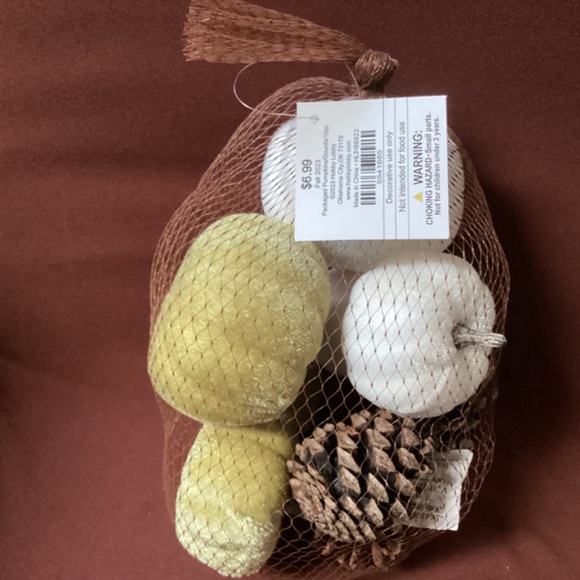 Fall 2023 Packaged Pumpkins/Gourds/10 pc New With Tag - Picture 6 of 8